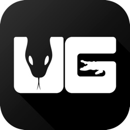 Underground Reptiles