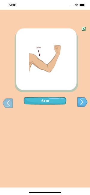 Human body name(圖2)-速報App