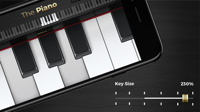 Piano Pro ٞ screenshot1