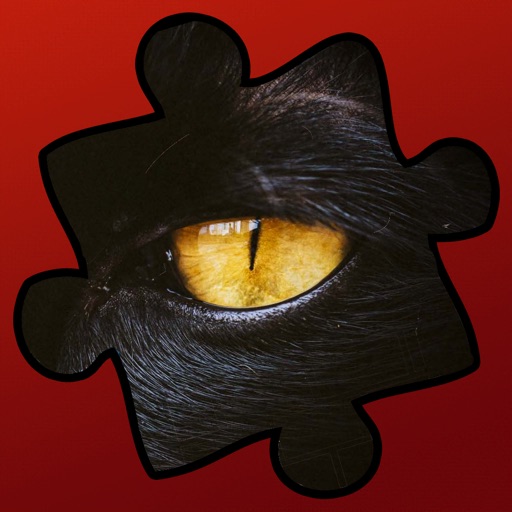 Jigsaw Puzzles-Fun Puzzle Game Icon