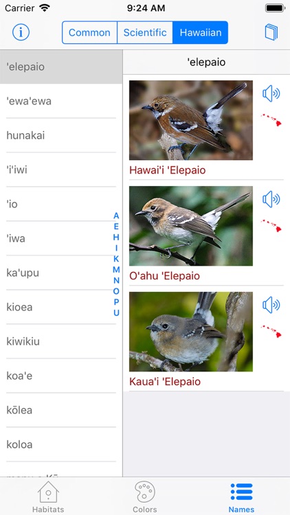 Bird ID Hawaii screenshot-9