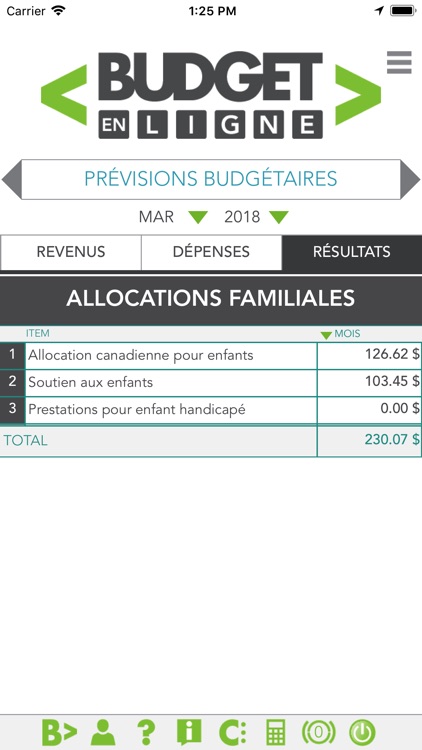 Budget en ligne screenshot-3