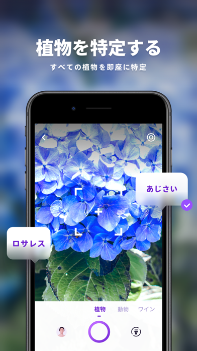 マジカルスキャナー-顔の予測とテキスト翻訳のおすすめ画像8