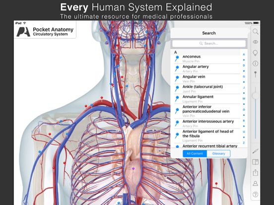 Pocket Anatomy Screenshots