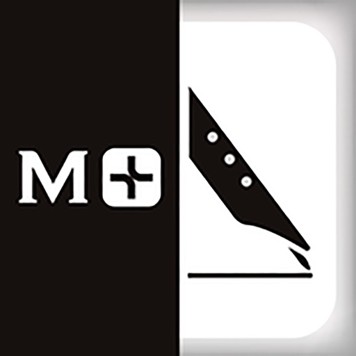 Moleskine Notes iOS App