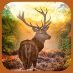 3D Ultimate Deer Hunter - Hunt Stags in Multiple Hunting Seasons to Become The Best Deer Hunter