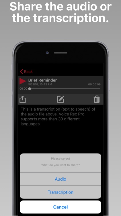 Voice Rec Pro screenshot-4
