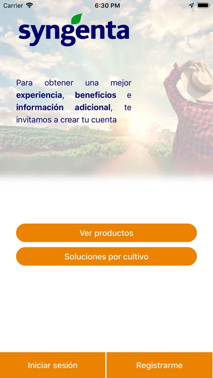 Syngenta MX