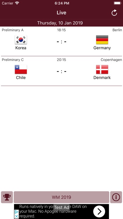 Handball WC 2019