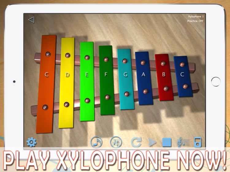 i-XyloPhone Fun HD - PRO screenshot-0