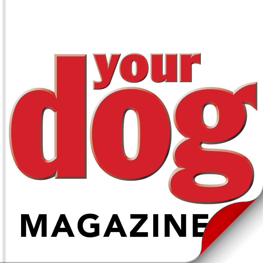 Your Dog