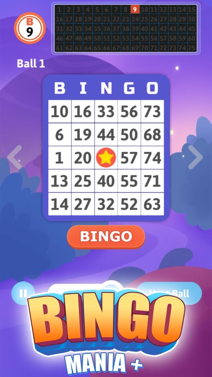 Bingo Mania +