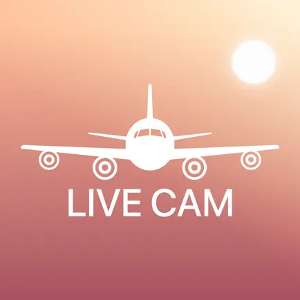 Airport Live Cam Читы