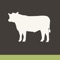 BEEFLEXIBLE is a guide and resource for foodservice professionals about beef