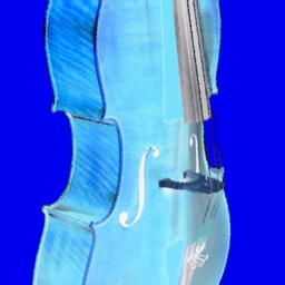 Tunic Cello