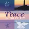 Prayers for Peace and Refreshing Christian educational App also contains categorized prayers, promises from NKJV Scripture, video, and more