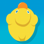 DUCK in the POOL