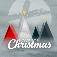 Shelter Cove Christmas Lights Reviews