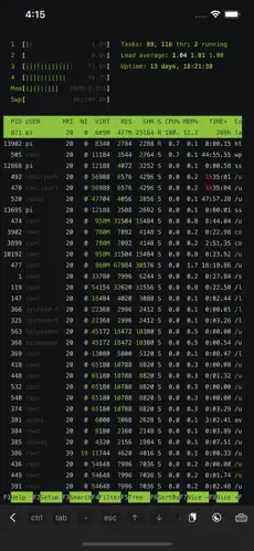 Capture 3 ServerCat - Linux Status & SSH iphone