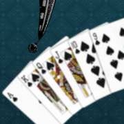 Durak full