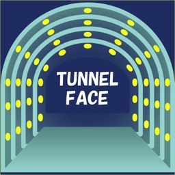 TUNNEL FACE MONITORING