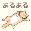 猫好きあるある