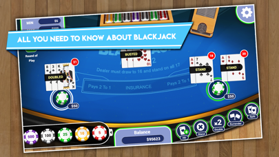 Beat the house Black-Jack screenshot 2