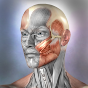 Muscle Bone Anatomy 3d app review