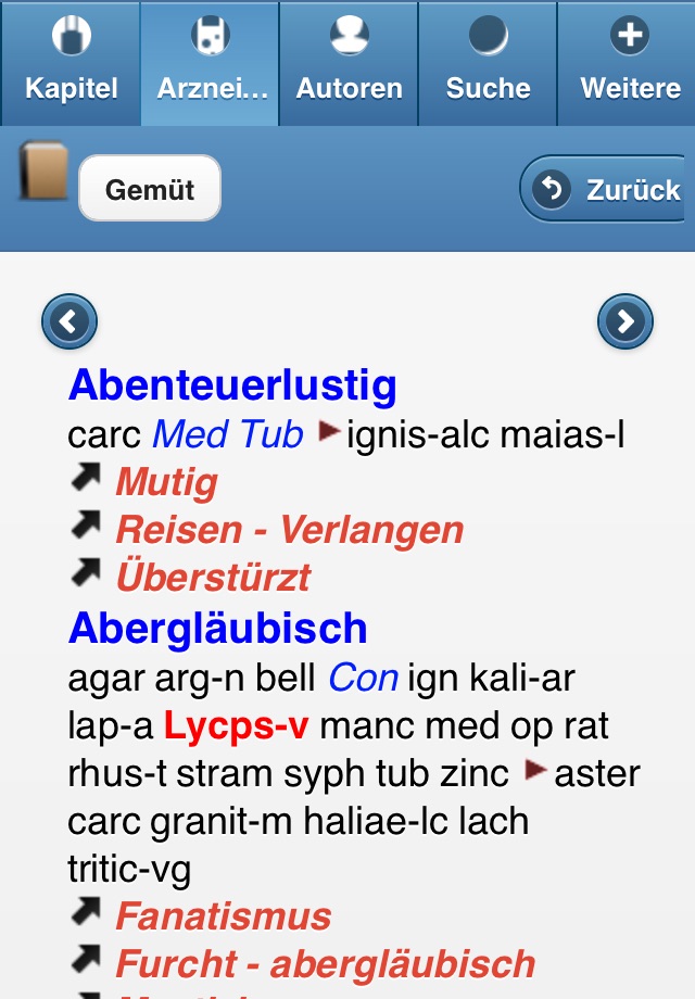 Repertorium Synthesis screenshot 3