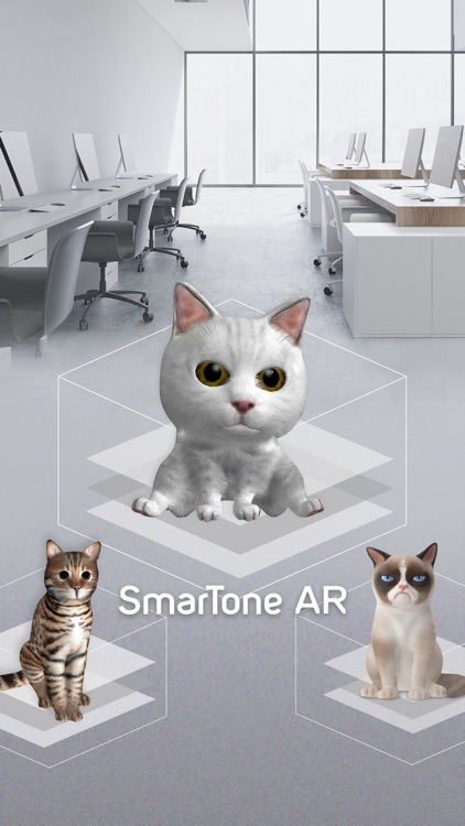 SmarTone AR