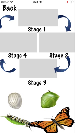 Life Cycle - Insects Arachnids(圖3)-速報App