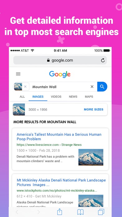 Image Recognition And Searcher screenshot 3