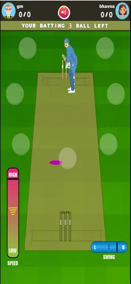 Game screenshot Cricket Online mod apk