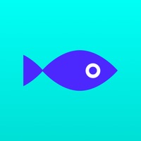  Fishbowl: Professional Network Application Similaire