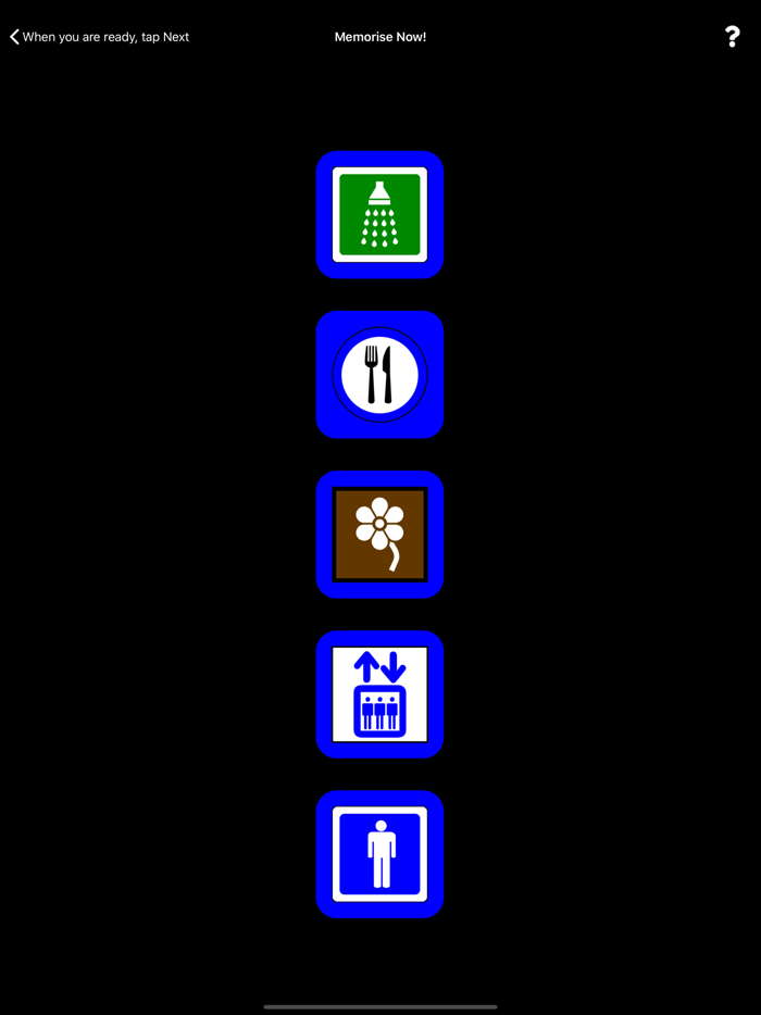 Mastering Memory Lite
