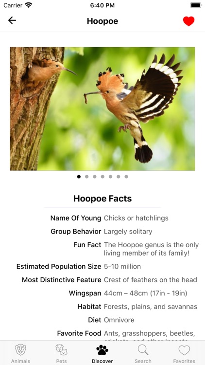 Animal Facts (Animal World) screenshot-3