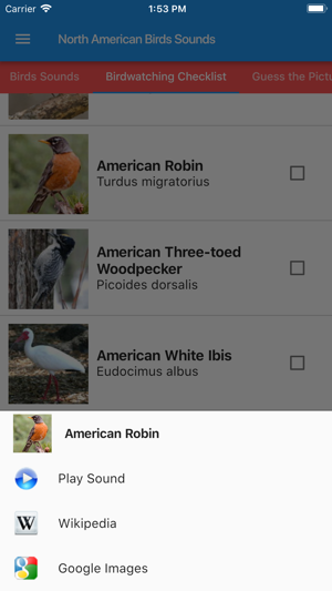 North American Birds Sounds(圖3)-速報App