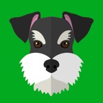 My Schnauzer