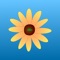 The Gardening Augur looks at the position of objects in the sky to determine what influences there are that may affect your gardening