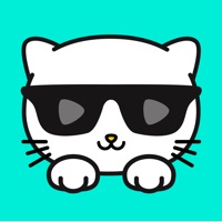 Contacter Kitty - Streaming & Broadcast