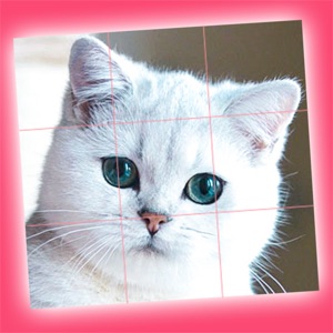 Cute Kittens - Easy Puzzle download