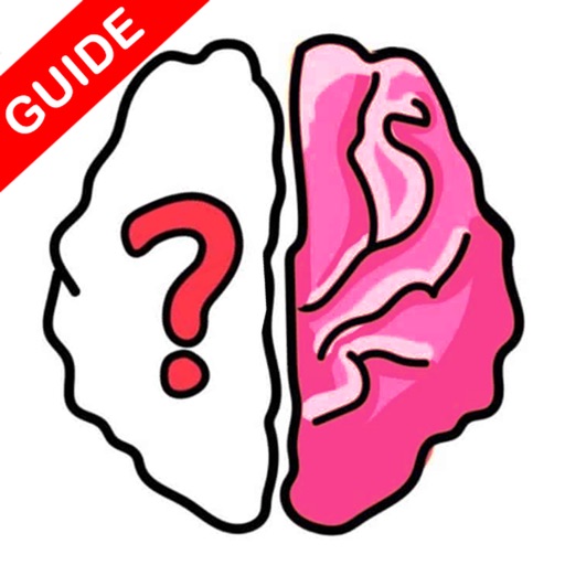 Brain Out Guide and Tips