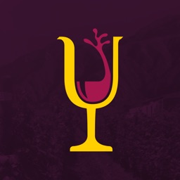 Tupungato Wine