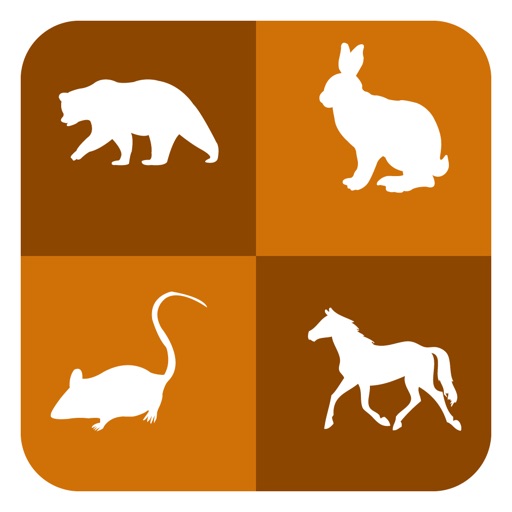 Animals Idioms and Metaphors icon