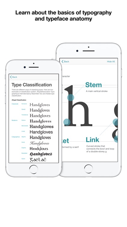 Typography Insight for iPhone screenshot-3