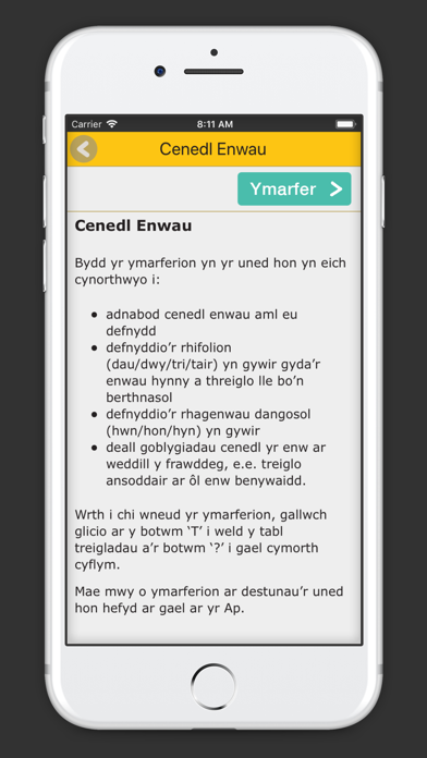 Sgiliau Iaith Athrawon screenshot 2