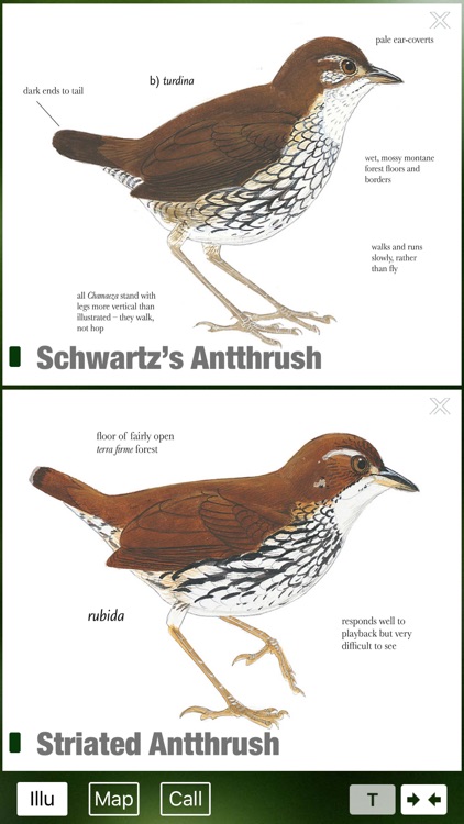 All Birds Colombia field guide screenshot-8