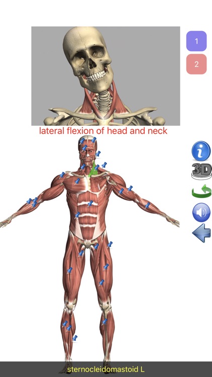 Visual Anatomy Lite screenshot-0