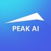 Peak AI
