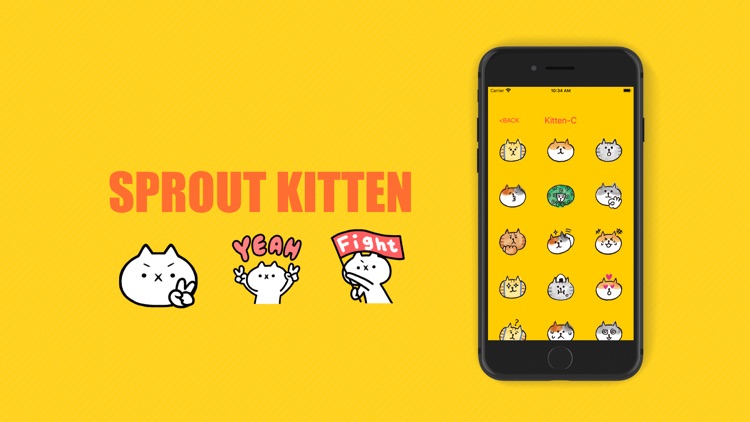 SproutKitten